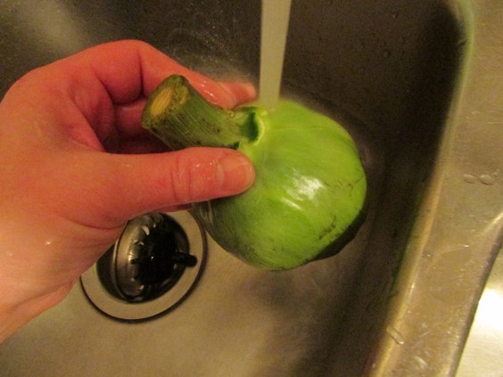 Rinse outside thoughroughly tips down.jpg