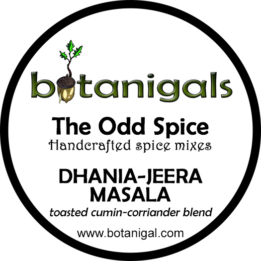 the-odd-spice-dhania-jeera-masala-for-web