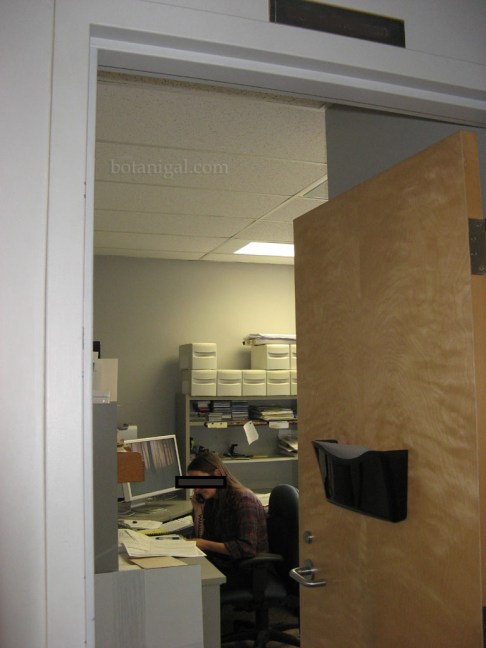 Dawn's new office redacted botanigaled.jpg