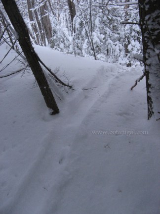 R.K. Otter slide.jpg