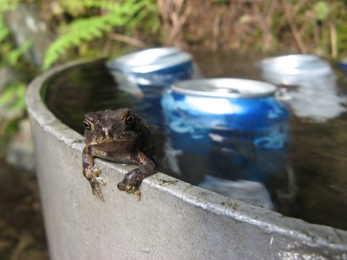 Sherman Ranch bartender July 2011 IMG_4712.jpg