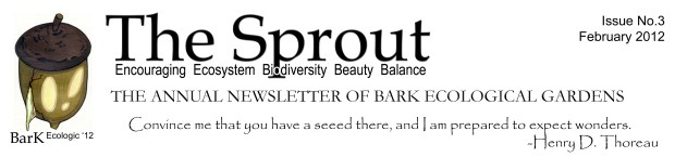 Sprout Letterhead Feb 2012 flattened.jpg