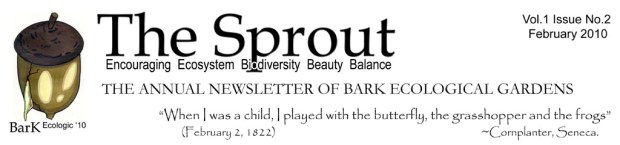 sprout-letterhead-feb-final-2010-jpeg