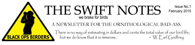 the-swift-notes-letterhead-2015-final