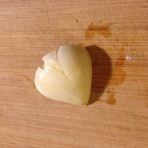 Garlic out of peel IMG_3391.jpg