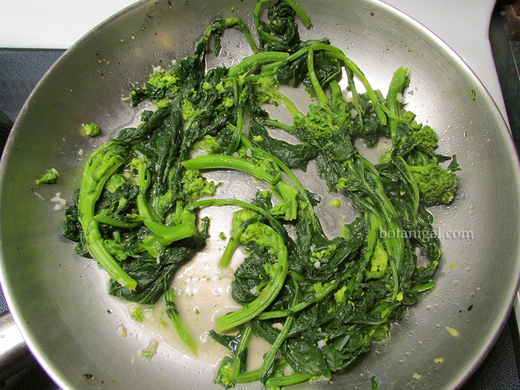 R.K. Rapini finished in fry pan 030 wtm.jpg