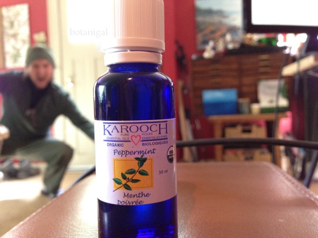 KaroocH Peppermint oil 066 wtm.jpg