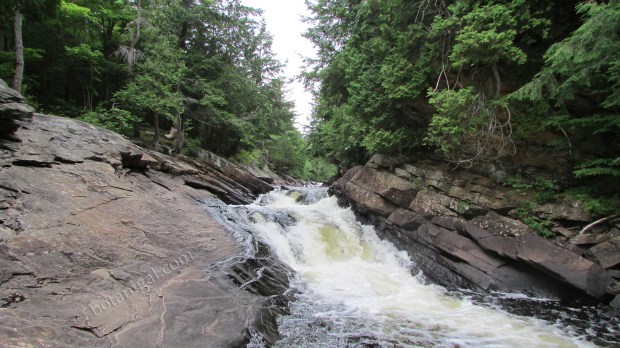 R.K. 5 Oxtongue Rapids 'Hog's Trough' July 24 2016 131 wtm.jpg