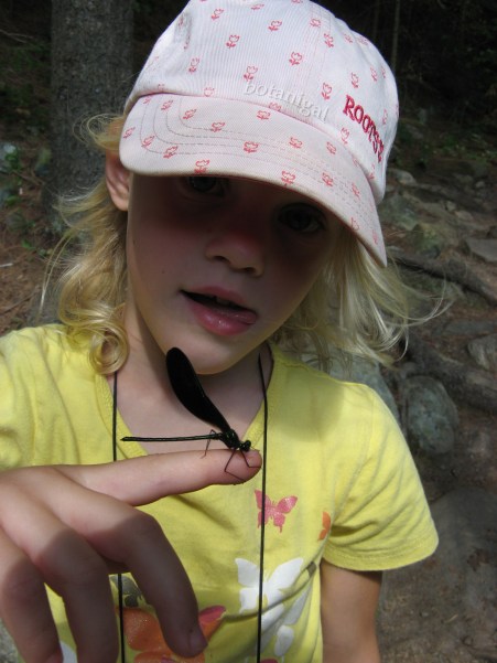 R.K. 7 Ebony Jewellwing and Blondie IMG_9763 wtm.jpg