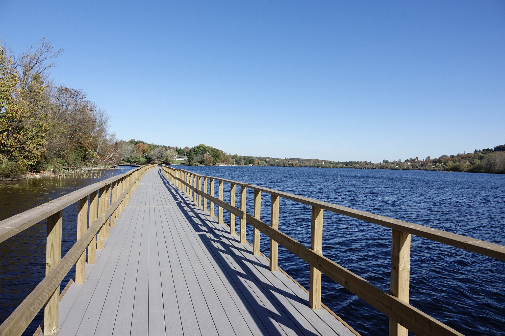 R.K. 19 Hunter's Bay Trail Extension October 18 2017 wtm_RXB9083.jpg