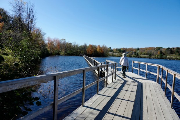 R.K. 2 Hunter's Bay Floating trail West Side October 18 2017 wtm_RXB9040