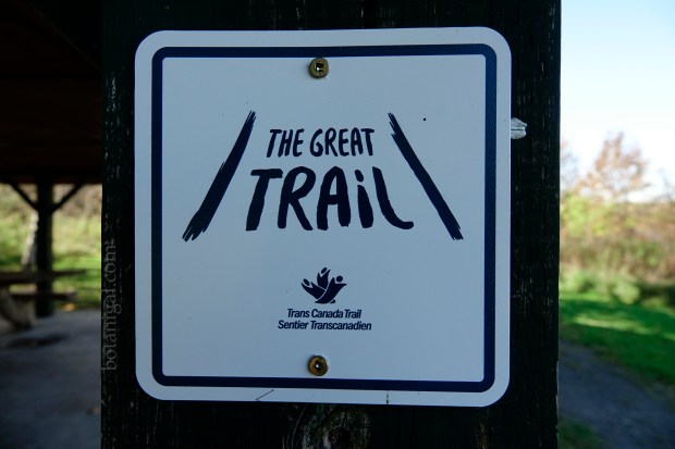R.K. 3 The Great Trail Hunter's Bay Trail wtm_RXB9011.jpg