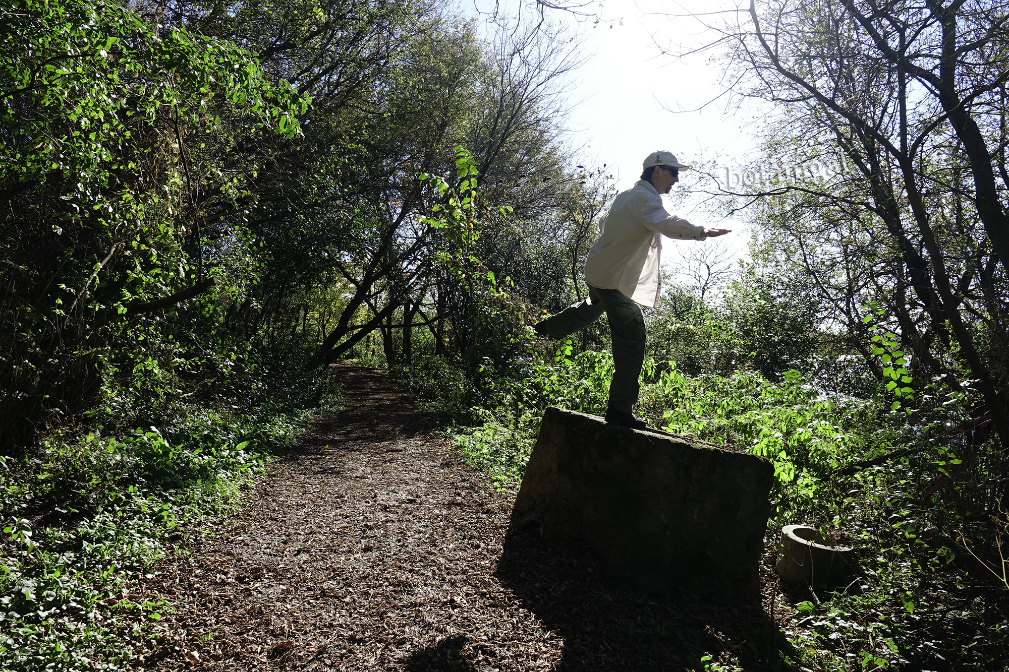 R.K. 6 Concrete Clown Hunter's Bay Trail October 18 2017 wtm_RXB9137