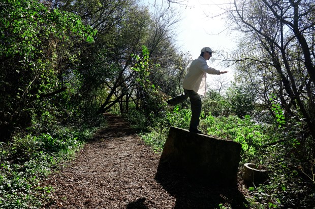 R.K. 6 Concrete Clown Hunter's Bay Trail October 18 2017 wtm_RXB9137