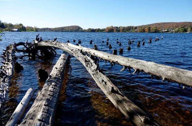 R.K. 8 Hunter's Bay Piers October 18 2017 wtm_RXB9151.jpg