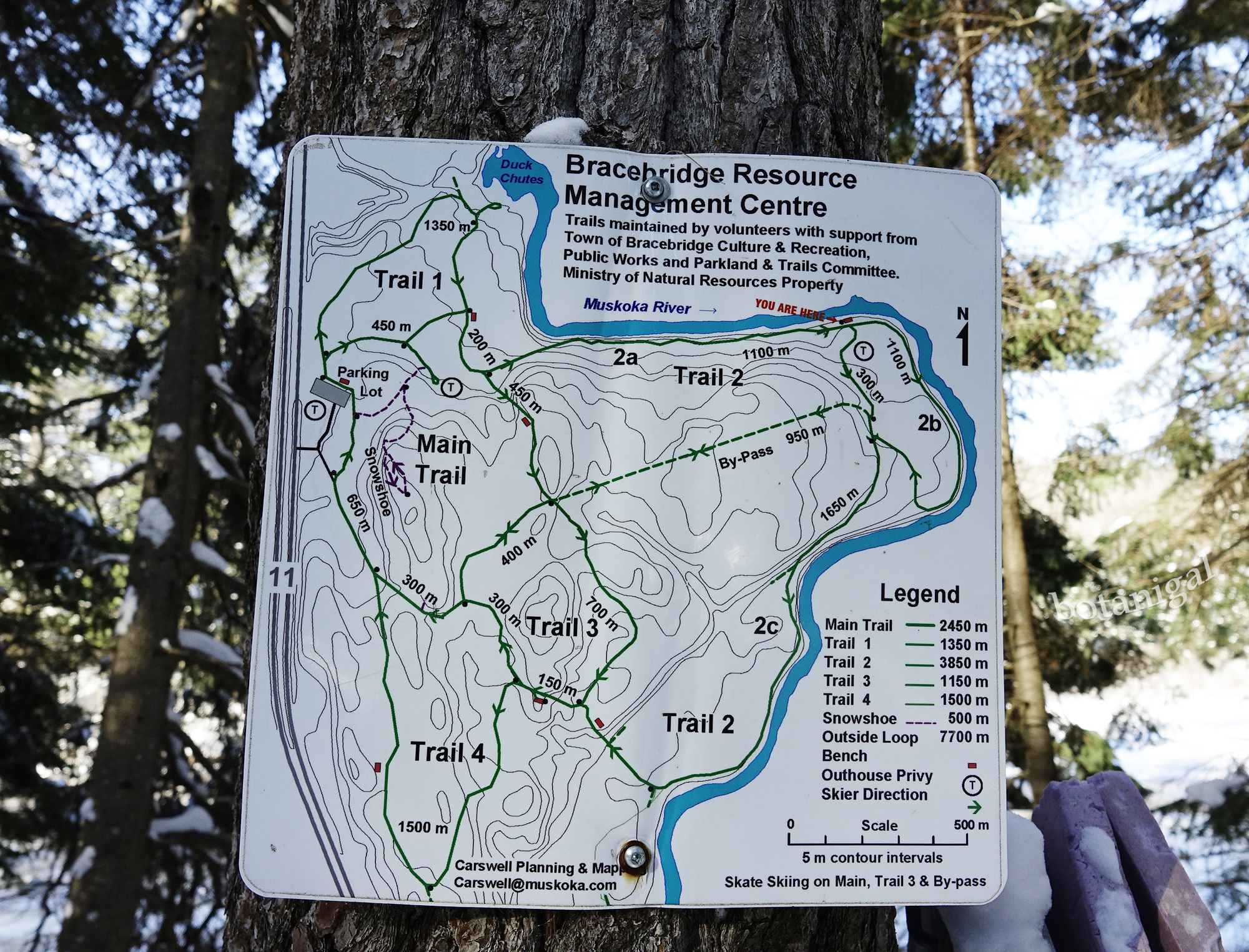 15. R.K. Thank God I'm Here BRMC Feb 13 2018 wtm_RXB1599