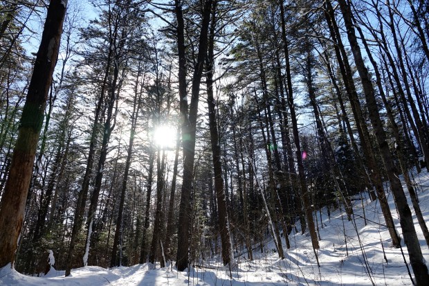 17. R.K. BMRC Cathedral Feb 13 2018 wtm_RXB1624.jpg