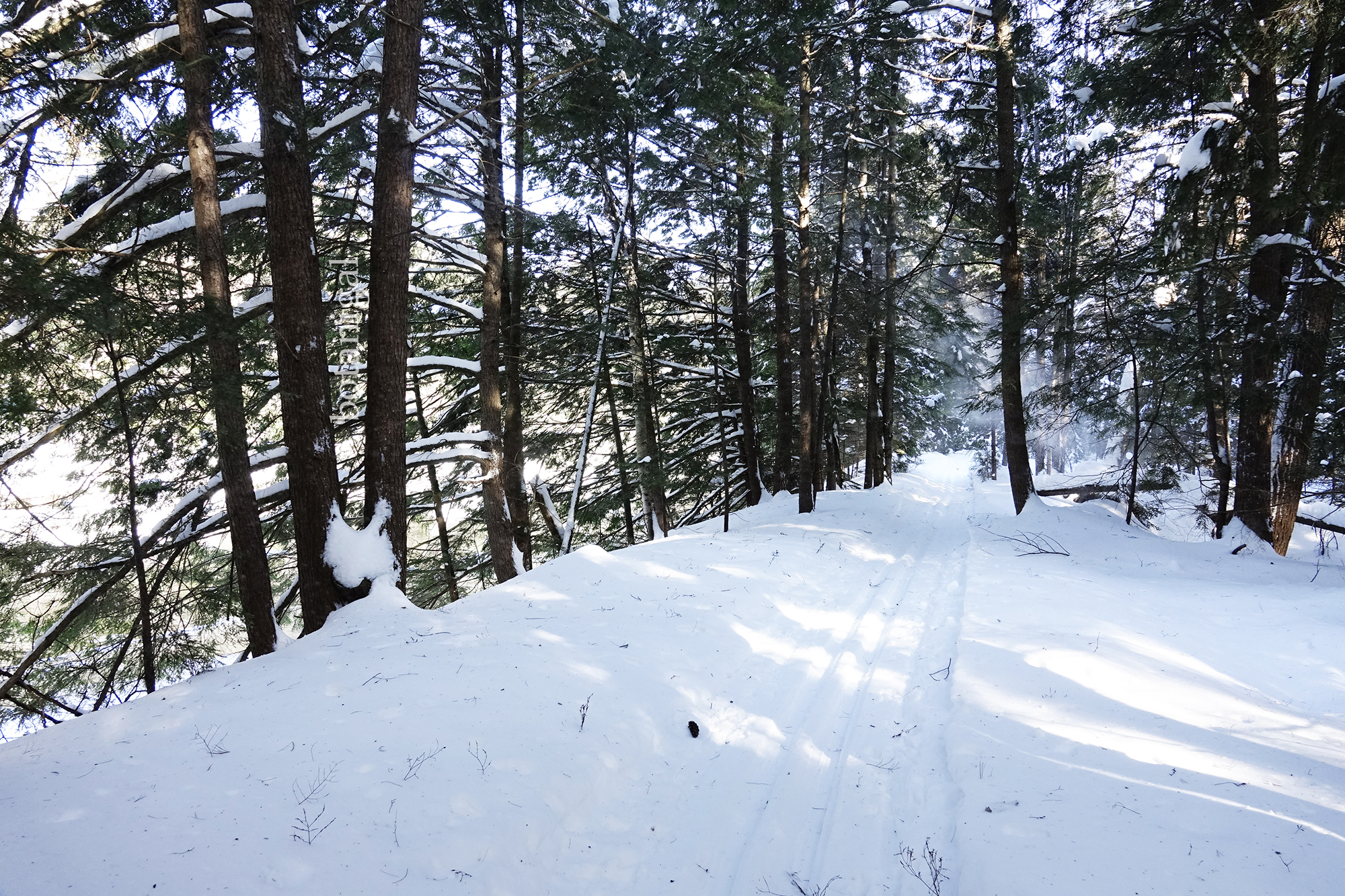 18. R.K. Riverside skiing BRMC  wtm_RXB1563.jpg