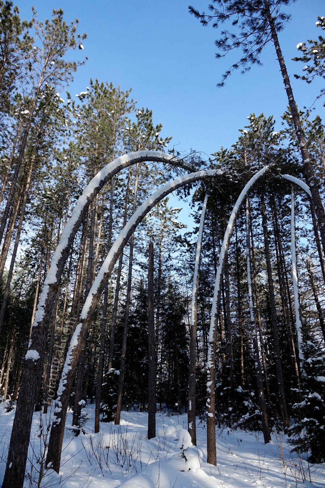 21. R.K. Plantation bend BMRC Feb 13 2018 wtm_RXB1707.jpg