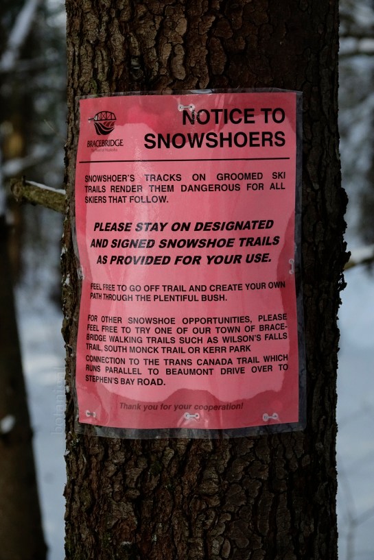 3. R.K. BMRC Snowshoe rules wtm_RXB1733