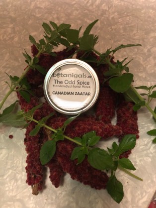 R.K. Zaatar Spice promo 181.jpg